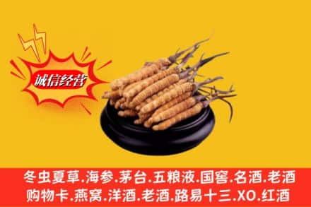 阳朔县求购回收虫草多少钱每克